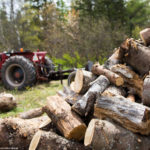 Firewood