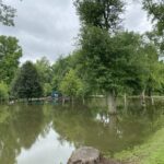 Warm season flooding can create increased risks for tree survival.